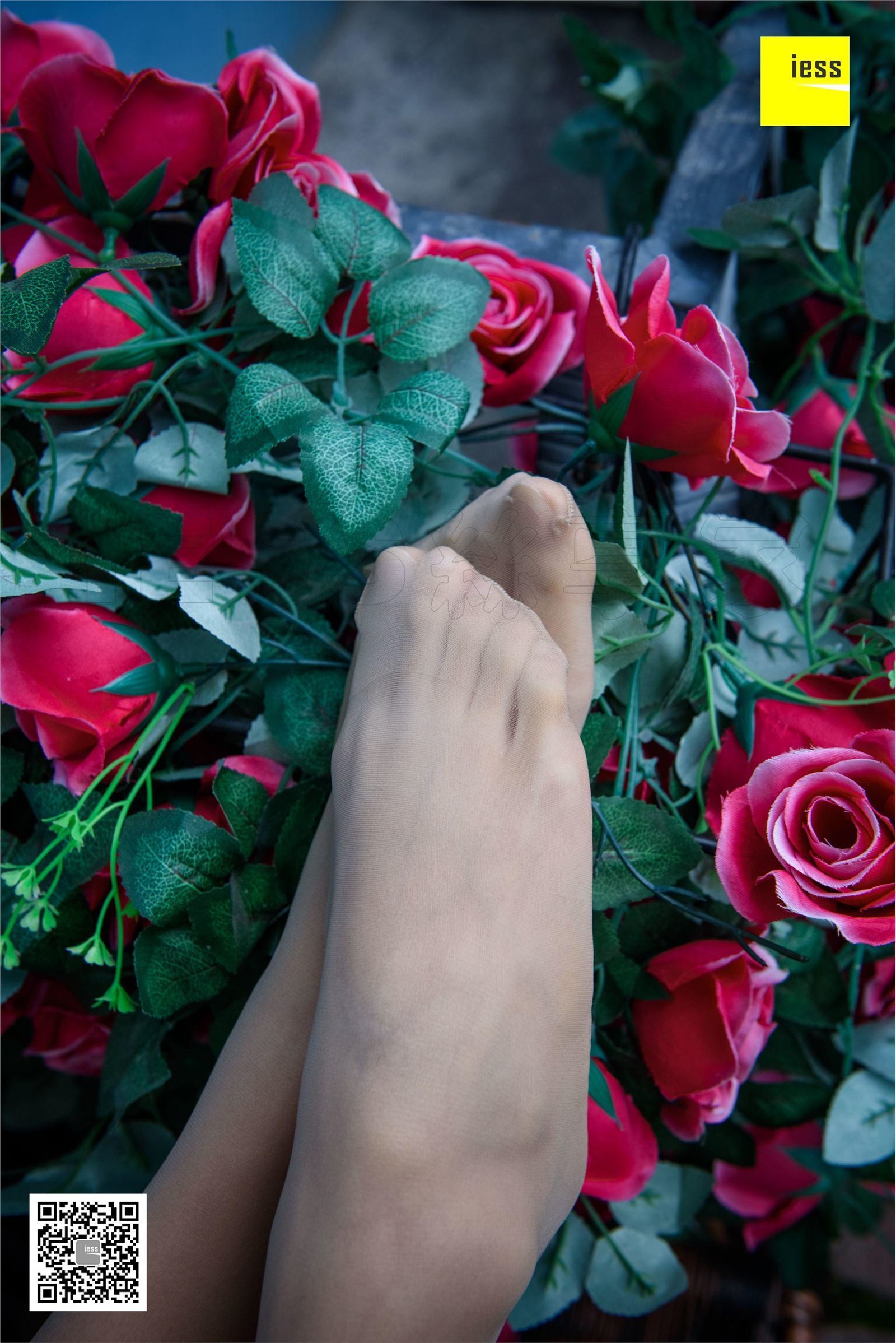 [IESS异思趣向]2018-02-01 No.161婉萍《玫瑰与肉丝》